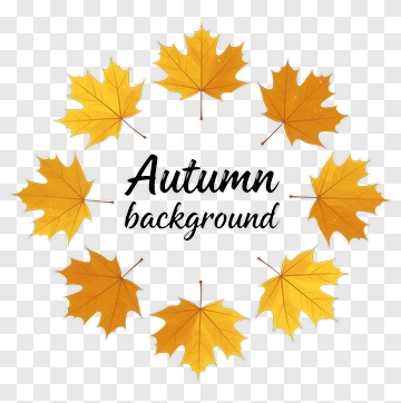 Autumn Leaves Circle Design PNG