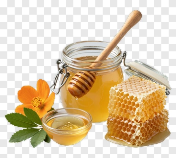 Honey Bee Hive With Flower PNG
