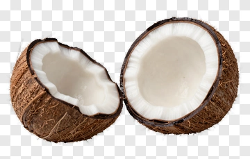 Coconut Cut In Half PNG