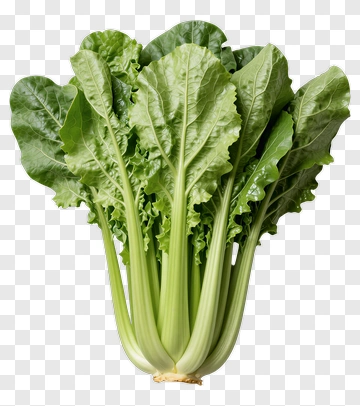 Fresh Chard PNG