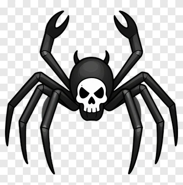 Black Spider With Skull PNG