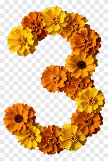 Flower Number Three PNG