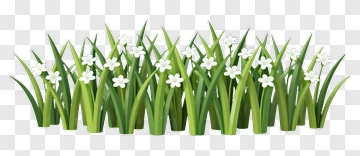 Green Grass With White Flowers PNG
