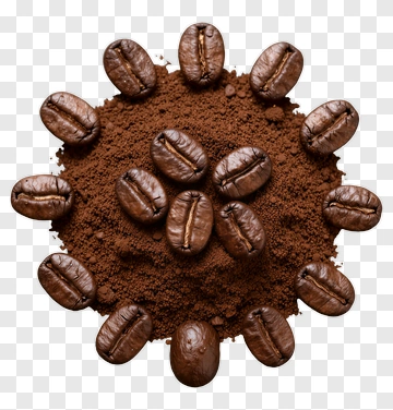 Coffee Bean And Coffee Powder PNG