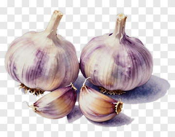 Garlic And Cloves PNG