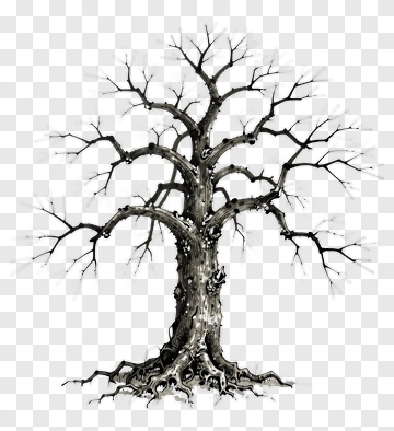 Hand-drawn Tree PNG