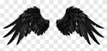 Black Wings PNG