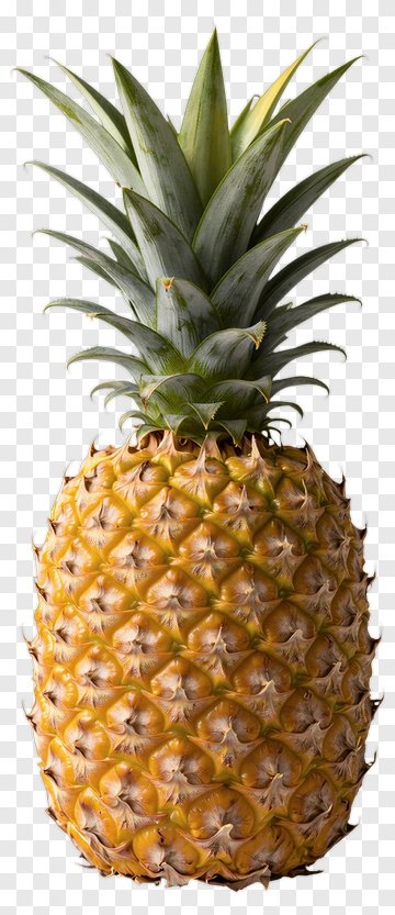 Fresh Pineapple PNG