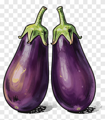Two Eggplants PNG