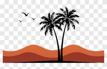 Palm Tree And Birds PNG