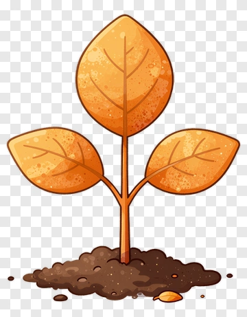 Orange Leaf Seedling PNG