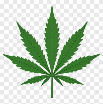 Cannabis Leaf PNG