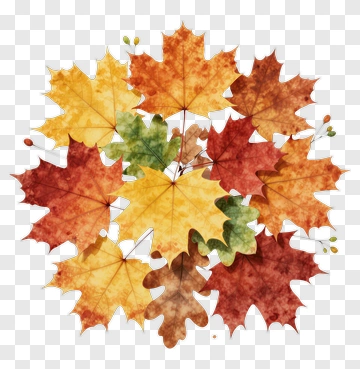 Autumn Leaves Watercolor Arrangement PNG