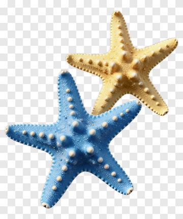 Blue And Yellow Starfish PNG