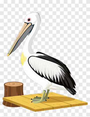 Pelican Standing On Wooden Platform PNG
