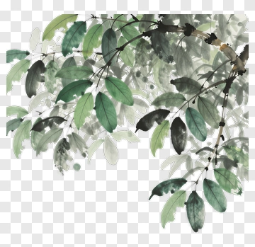 Branch With Leaves In Watercolor Style PNG