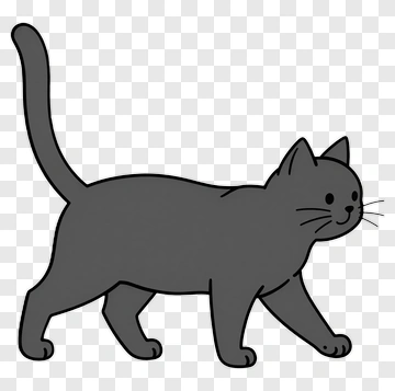 Gray Cat Walking PNG