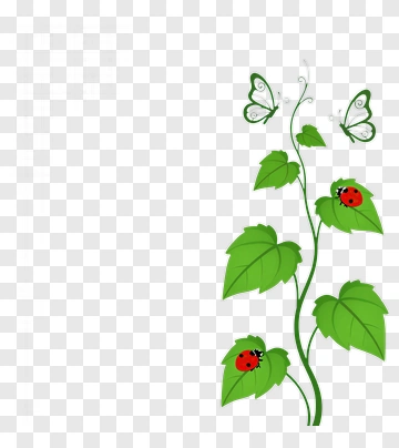 Vine With Butterflies And Ladybugs PNG
