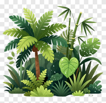 Tropical Jungle Plants PNG
