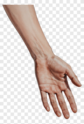 Human Hand With Visible Veins PNG