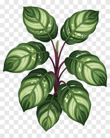 Green Leaf Plant With Purple Stem PNG