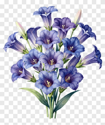 Blue Bellflower Bouquet PNG