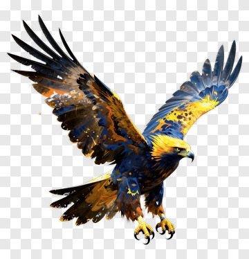 Eagle In Flight PNG