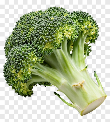 Fresh Broccoli PNG