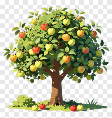 Apple Tree With Ripe Fruits PNG