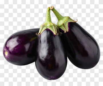 Three Eggplants PNG
