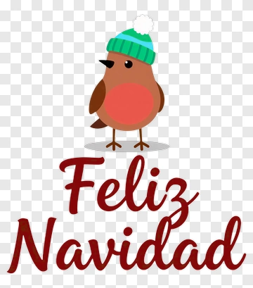 Christmas Robin With Festive Hat PNG