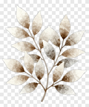 Watercolor Leaf Branch PNG