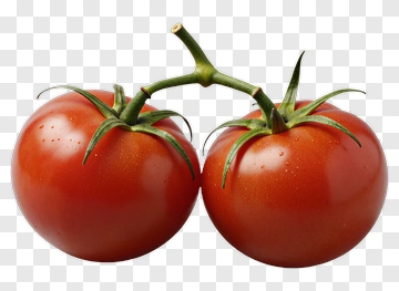 Two Tomatoes On Vine PNG
