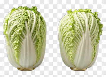 Two Cabbages PNG