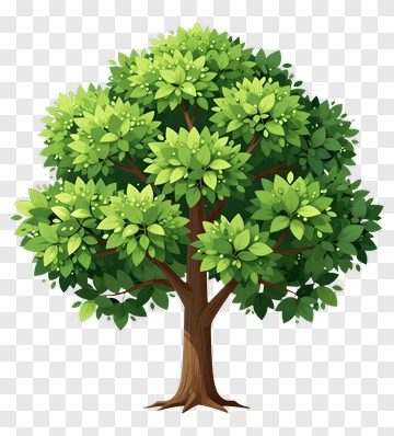 Cartoon Tree With Green Leaves PNG