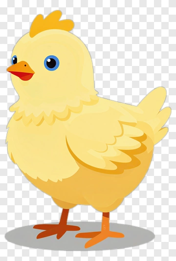 Yellow Chicken PNG
