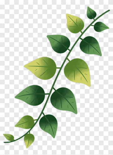 Leaf Branch With Green And Yellow Leaves PNG