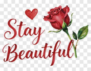 Stay Beautiful With Red Rose PNG
