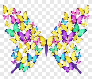 Colorful Butterfly PNG