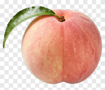 Fresh Peach With Leaf PNG