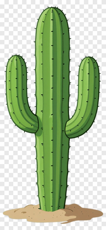 Cartoon Cactus With Spines PNG