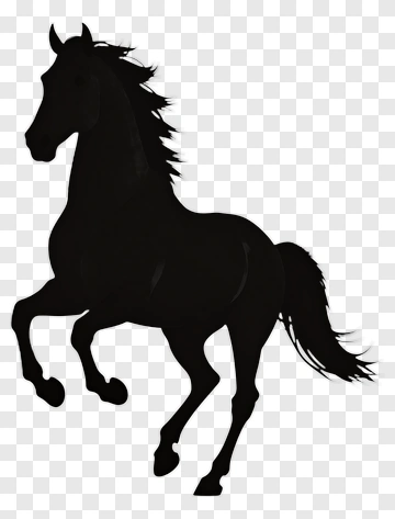 Black Horse Silhouette PNG