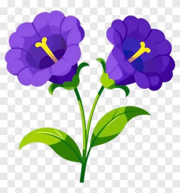 Purple Bellflowers With Green Leaves PNG