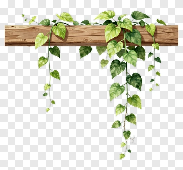 Vine With Green Leaves Hanging From Wood PNG