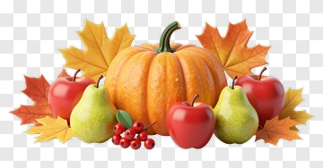 Autumn Harvest Still Life PNG
