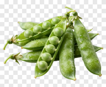 Fresh Green Pea Pods PNG
