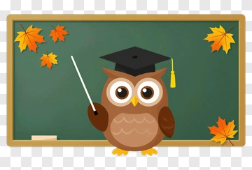 Cartoon Owl Teacher With Graduation Cap PNG