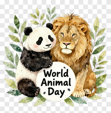 Panda And Lion For World Animal Day PNG
