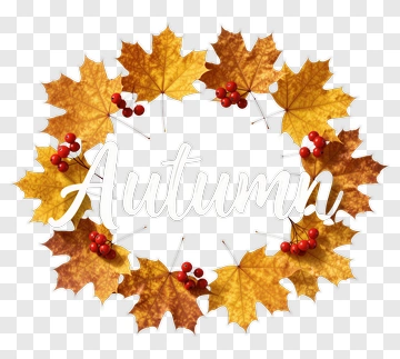 Autumn Leaves With Red Berries PNG