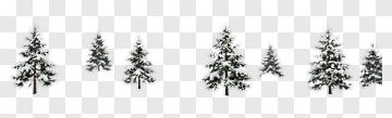Snow-covered Pine Trees In Winter Landscape PNG